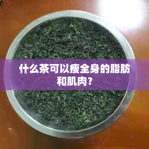 什么茶可以瘦全身的脂肪和肌肉？