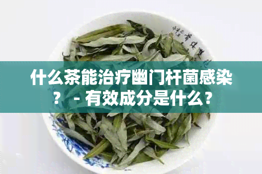 什么茶能治疗幽门杆菌感染？ - 有效成分是什么？