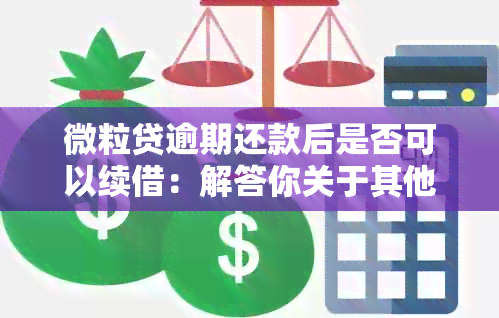 微粒贷逾期还款后是否可以续借：解答你关于其他网贷逾期的疑问