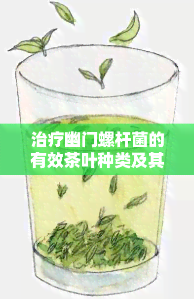 治疗幽门螺杆菌的有效茶叶种类及其作用机理分析