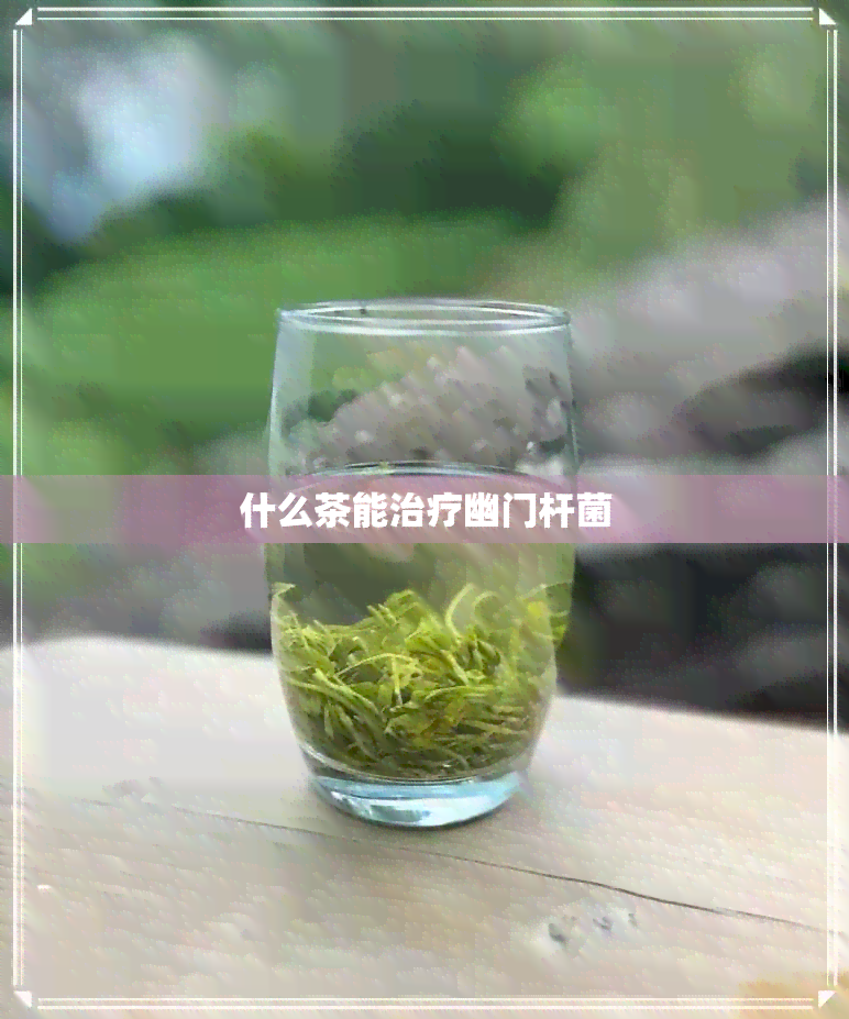 什么茶能治疗幽门杆菌