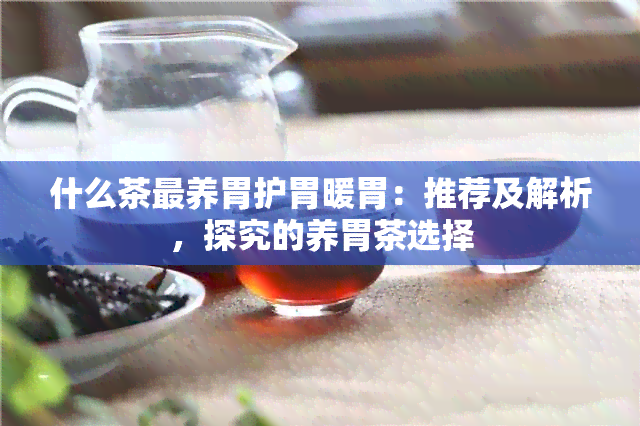 什么茶最养胃护胃暖胃：推荐及解析，探究的养胃茶选择