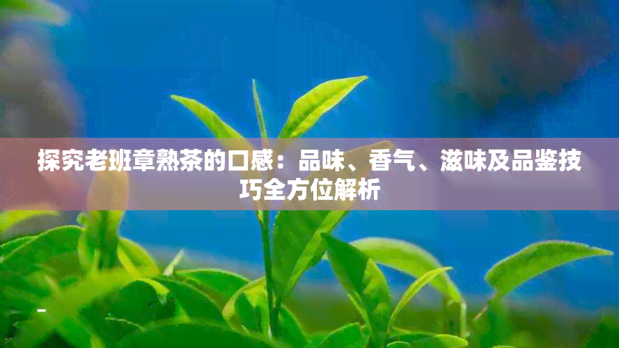 探究老班章熟茶的口感：品味、香气、滋味及品鉴技巧全方位解析