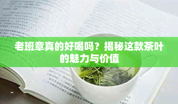 老班章真的好喝吗？揭秘这款茶叶的魅力与价值