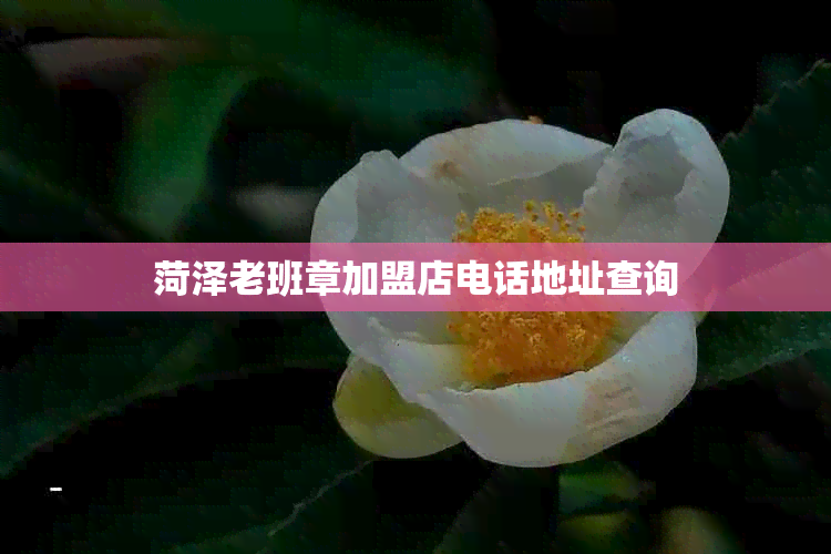 菏泽老班章加盟店电话地址查询