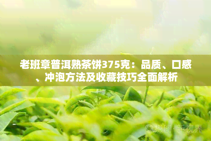 老班章普洱熟茶饼375克：品质、口感、冲泡方法及收藏技巧全面解析