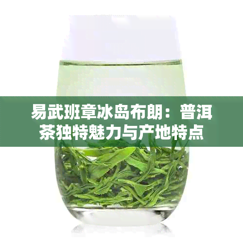 易武班章冰岛布朗：普洱茶独特魅力与产地特点