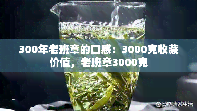 300年老班章的口感：3000克收藏价值，老班章3000克