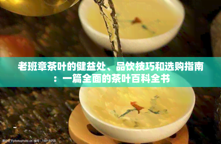 老班章茶叶的健益处、品饮技巧和选购指南：一篇全面的茶叶百科全书