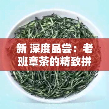 新 深度品尝：老班章茶的精致拼配艺术与独特口感