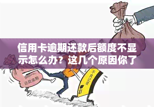 信用卡逾期还款后额度不显示怎么办？这几个原因你了解吗？