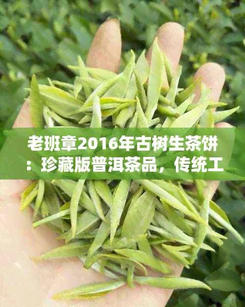 老班章2016年古树生茶饼：珍藏版普洱茶品，传统工艺与现代口感的完美结合