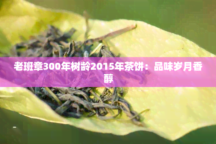 老班章300年树龄2015年茶饼：品味岁月香醇