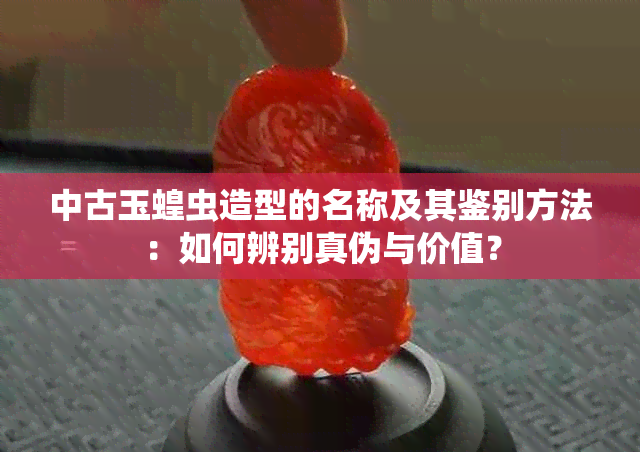 中古玉蝗虫造型的名称及其鉴别方法：如何辨别真伪与价值？