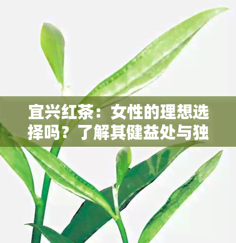 宜兴红茶：女性的理想选择吗？了解其健益处与独特风味