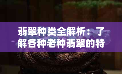 翡翠种类全解析：了解各种老种翡翠的特点与价值