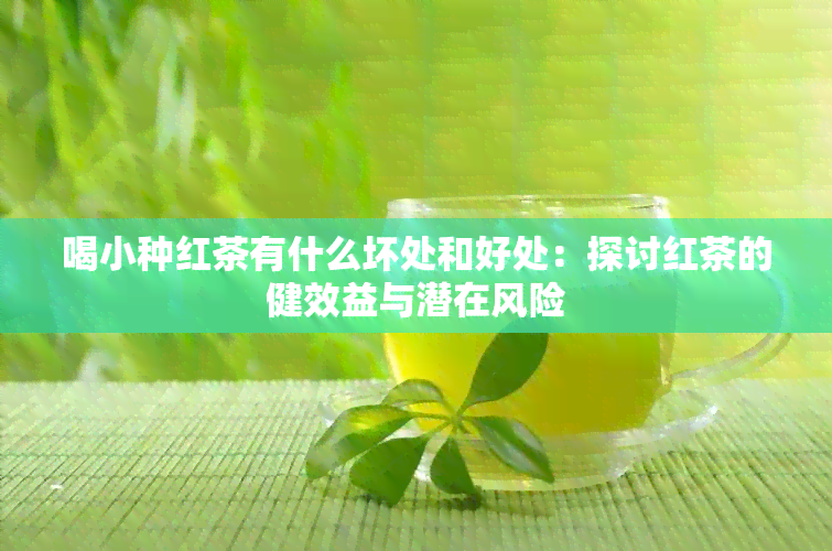 喝小种红茶有什么坏处和好处：探讨红茶的健效益与潜在风险