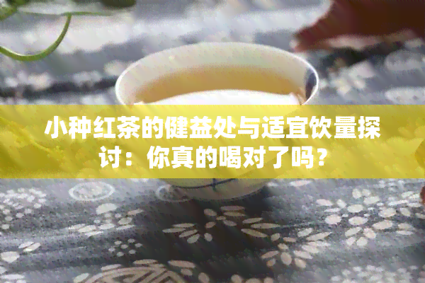 小种红茶的健益处与适宜饮量探讨：你真的喝对了吗？