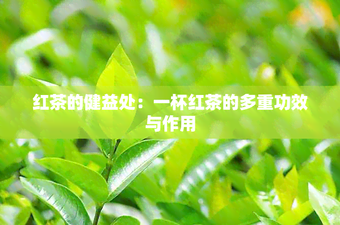 红茶的健益处：一杯红茶的多重功效与作用