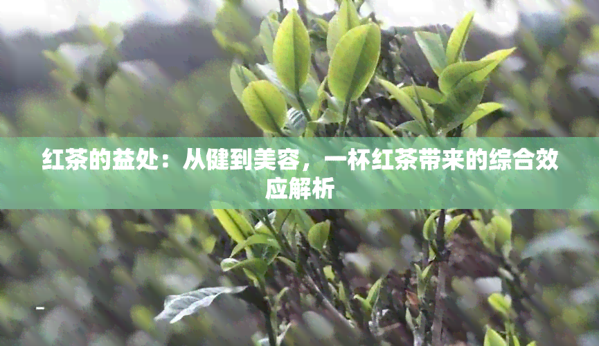 红茶的益处：从健到美容，一杯红茶带来的综合效应解析