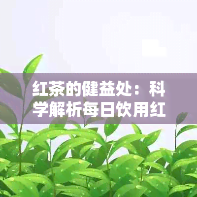 红茶的健益处：科学解析每日饮用红茶的多重好处