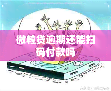 微粒贷逾期还能扫码付款吗