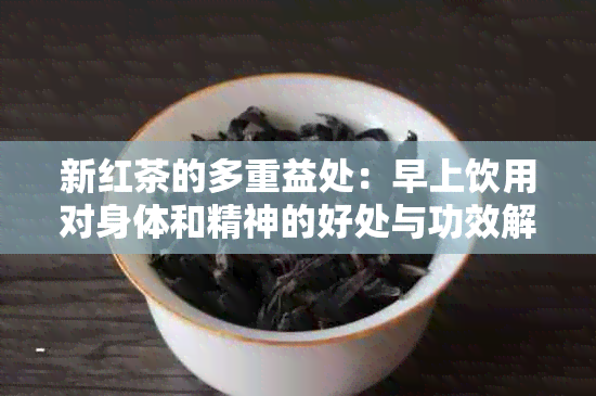 新红茶的多重益处：早上饮用对身体和精神的好处与功效解析