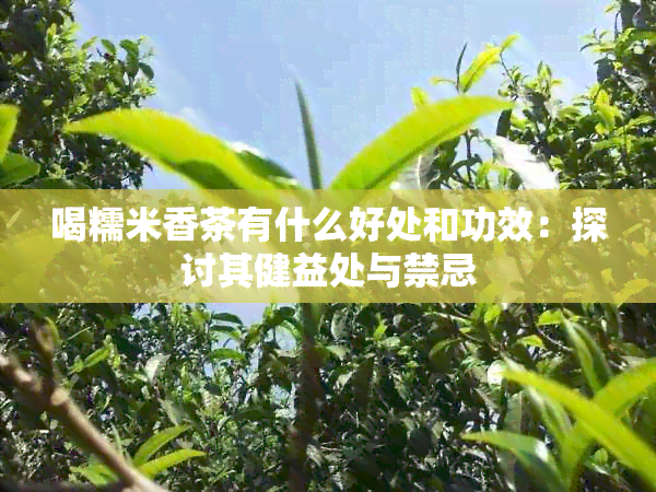 喝糯米香茶有什么好处和功效：探讨其健益处与禁忌