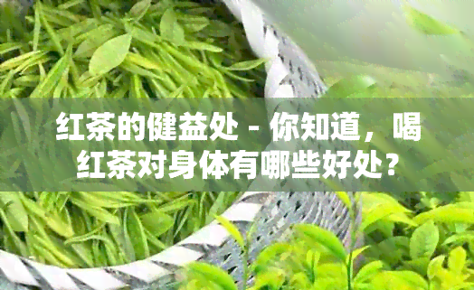 红茶的健益处 - 你知道，喝红茶对身体有哪些好处？