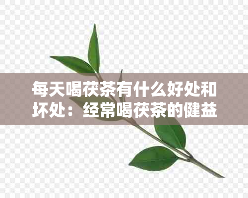 每天喝茯茶有什么好处和坏处：经常喝茯茶的健益处与潜在风险