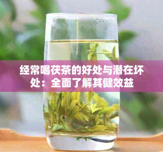 经常喝茯茶的好处与潜在坏处：全面了解其健效益