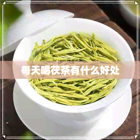 每天喝茯茶有什么好处