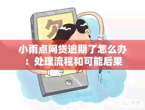 小雨点网贷逾期了怎么办：处理流程和可能后果