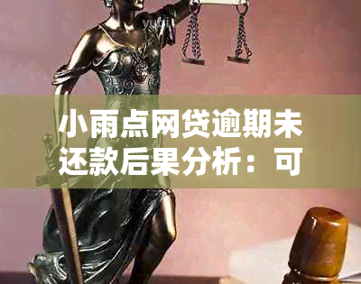 小雨点网贷逾期未还款后果分析：可能面临哪些风险与影响？