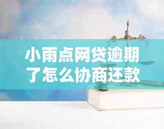 小雨点网贷逾期了怎么协商还款期和本金？逾期后的影响和解决办法