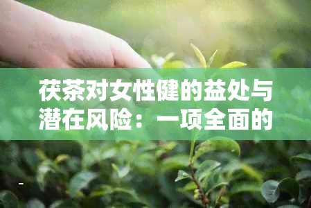 茯茶对女性健的益处与潜在风险：一项全面的解析