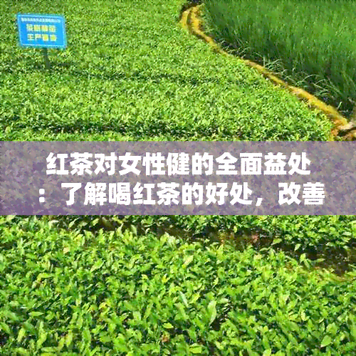 红茶对女性健的全面益处：了解喝红茶的好处，改善生活质量