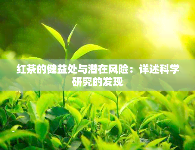 红茶的健益处与潜在风险：详述科学研究的发现