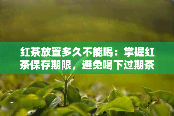 红茶放置多久不能喝：掌握红茶保存期限，避免喝下过期茶！