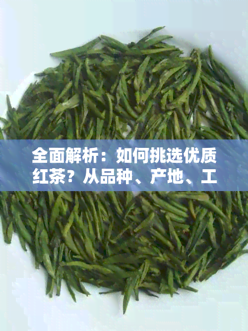 全面解析：如何挑选优质红茶？从品种、产地、工艺等多方面进行评估