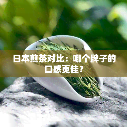 煎茶对比：哪个牌子的口感更佳？