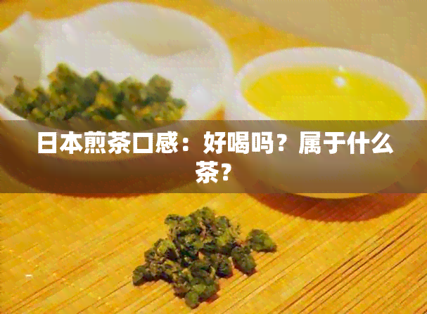 煎茶口感：好喝吗？属于什么茶？