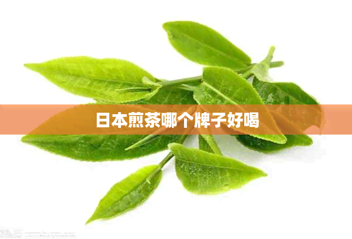 煎茶哪个牌子好喝