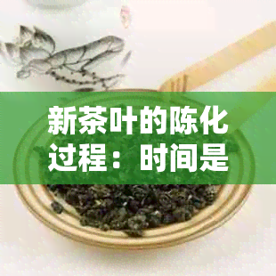 新茶叶的陈化过程：时间是否真的是优质茶的关键？