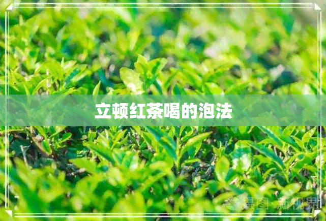 立顿红茶喝的泡法