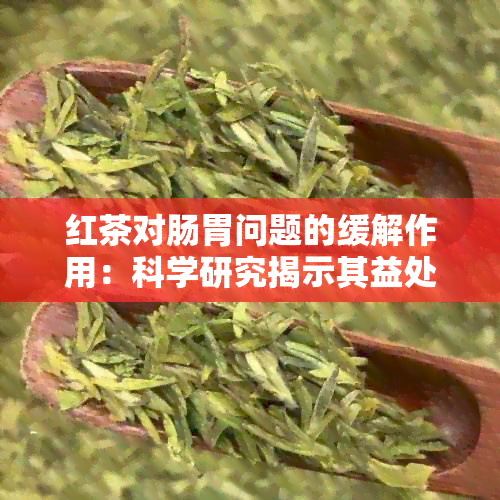 红茶对肠胃问题的缓解作用：科学研究揭示其益处与注意事项