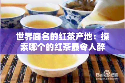 世界闻名的红茶产地：探索哪个的红茶最令人醉