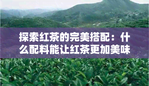 探索红茶的完美搭配：什么配料能让红茶更加美味？