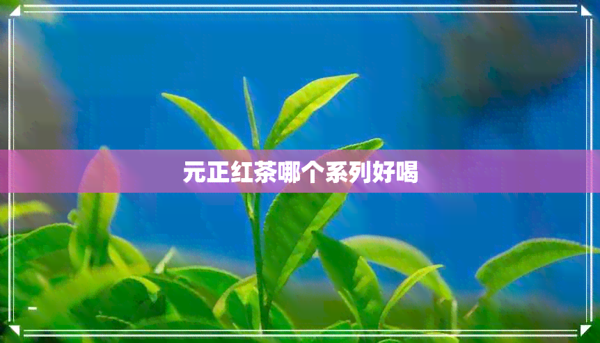 元正红茶哪个系列好喝