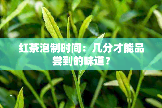 红茶泡制时间：几分才能品尝到的味道？